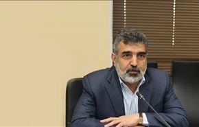 ايران تحتج اليوم لدى الوكالة الذرية لكشف أسرارها النووية
