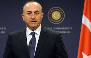 تركيا تطالب المانيا بتسليمها اتباع 