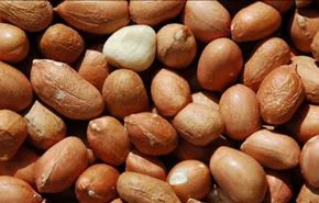لعشاق الفول السوداني.. فوائد رائعة منها الوقاية من السرطان