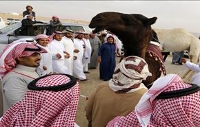ثامر السبهان: التطور الذي تشهده السعودية أغاظ ايران!