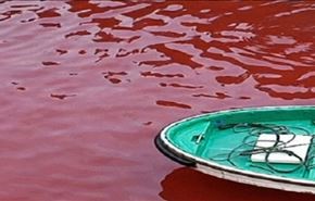 بالصور.. بحر في اليابان يتحول إلى دماء في شهر سبتمبر!