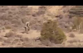 هیولای انسان نما در صحرای پرتغال + فیلم