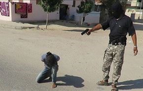 بالصور.. 