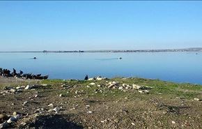 مسؤول اميركي: القوات الكردية انسحبت الى شرق الفرات