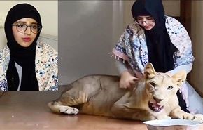 شاهد بالفيديو.. فتاة سعودية ترعى اسدا مفترسا