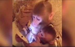 شاهد بالفيديو..كيف تعلم قردة صغيرها طريقة استعمال 'التابليت'!