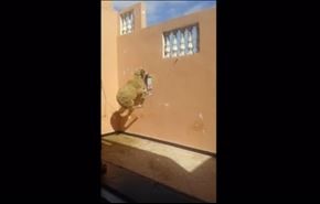 شاهد رد فعل خروف مسكين بعد رؤيته آخر يذبح أمامه!