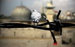 الجزائر تسحب كتاب الجغرافيا من مدارسها.. والسبب 