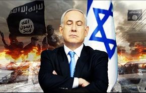 الجماعات السلفية والعلاقة العضوية بـ