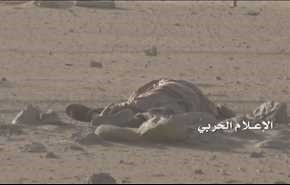 مصدر عسكري: مصرع عدد كبير من المرتزقة اثر غارة جوية سعودية استهدفتهم بالخطأ