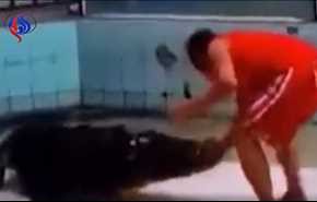فيديو مخيف .. تمساح ينقض على ذراع مدربه!