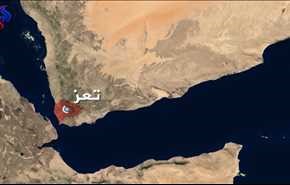 الطيران السعودي يبيد 