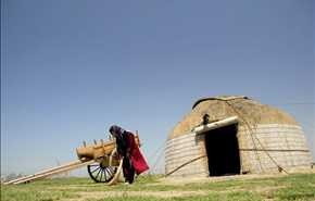 گزارش اسپوتنیک از قالیبافی زنان ترکمن