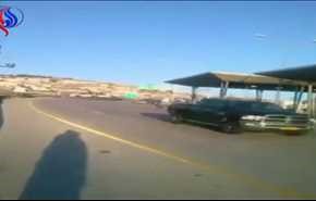 شاهد... ما قصة هذا الحمار الذي حسده الناس على حظه!