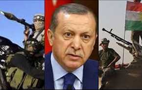 إردوغان وكذبة الدفاع عن 