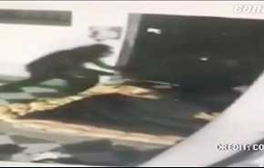 +18 بالفيديو.. لقطات مروعة لرجل يحرق شخصا ظن أنه على علاقة بزوجته