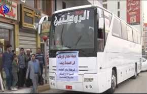 بالفيديو.. 
