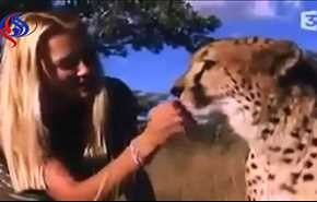 فيديو مرعب لفتاة وسط مجموعة من 10 نمور.. كيف تصرفت؟!