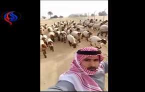 شاهد.. أراد التقاط سيلفي لكن كانت تنتظره مفاجأة!
