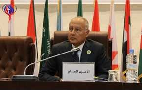 أبو الغيط يدعو الدول العربية 