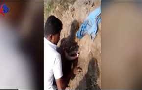 فيديو يحبس الانفاس .. دفن طفلة عُمرها ساعات في التّراب!