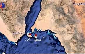 حملة شعبية في مصر للدفاع عن مصرية تيران وصنافير