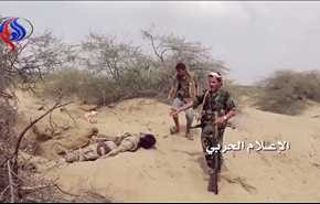 بالفيديو.. صد هجوم لمرتزقة العدوان بصحراء ميدي في حجة