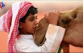 31 مليون دولار ستذهب لـ