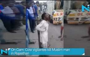 شاهد... هندوس يضربون مسلماً حتى الموت دفاعاً عن البقر!