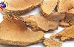 یک ترکیب گیاهی برای مقابله با چاقی