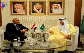 وزيرا الخارجية السعودي والمصري يبحثان حل الأزمة السورية