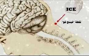 هذا ما سيحدث لك إذا وضعت مكعب الثلج على هذه النقطة من جسمك!