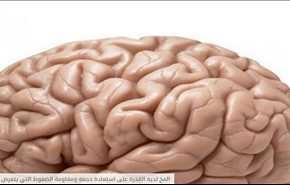 المخ لديه القدرة على استعادة حجمه ومقاومة الضغوط التي يتعرض لها