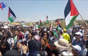29 يومًا على الإضراب .. 69 عامًا على النكبة
