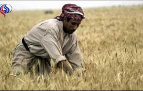 الديمقراطي الكردستاني يتهم بغداد بـ