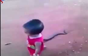 شاهد ماذا فعل طفل بهذه الأفعى الضخمة!!