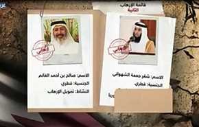 بالفيديو.. 