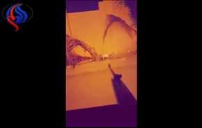 بالفيديو.. سعودي يشعل مواقع التواصل غضبا بوحشيته