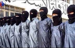 مقتل 14 عنصرا من 