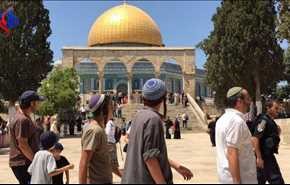 مستوطنون يقتحمون الأقصى والاحتلال يعتقل 16 فلسطينيا بالضفة