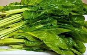 ما علاقة السبانخ بالزهايمر؟