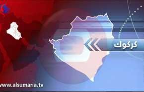 بالصور.. 