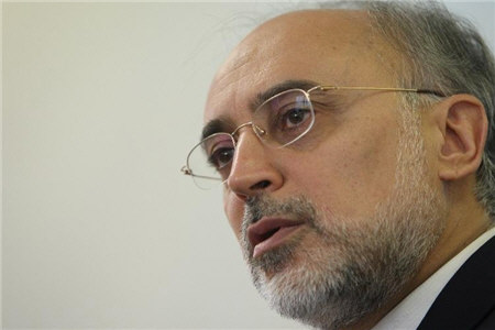 عربستان سخنان صالحی را تکذیب کرد