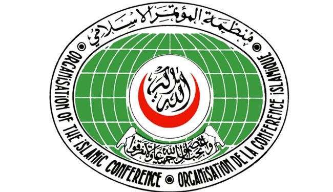 یک عربستانی دبیر کل سازمان همکاری اسلامی می شود