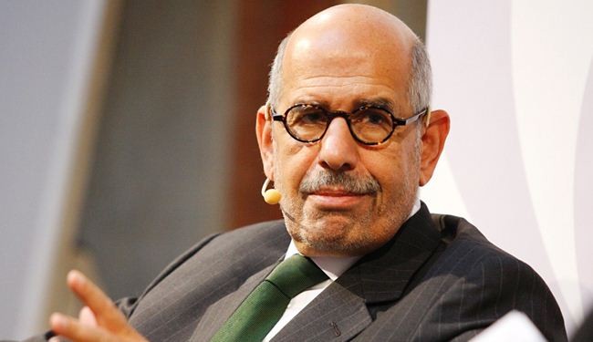 البرادعي يقول ان الانتخابات ستسبب الفوضى
