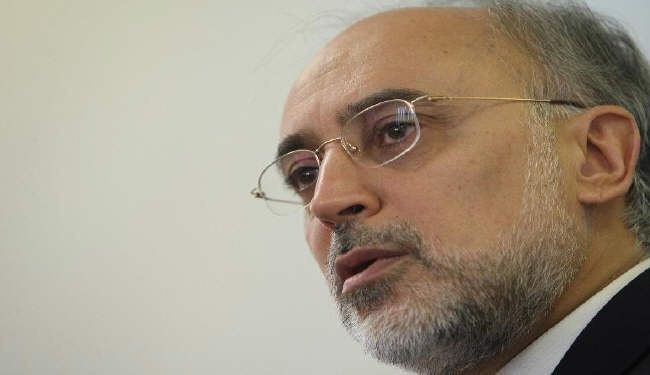 صالحي يشدد على دور ايران في مكافحة الارهاب