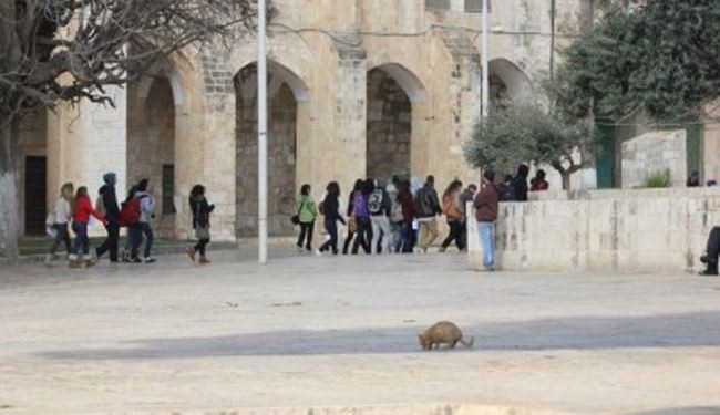 مستوطنون يقتحمون المسجد الاقصى قبل طردهم