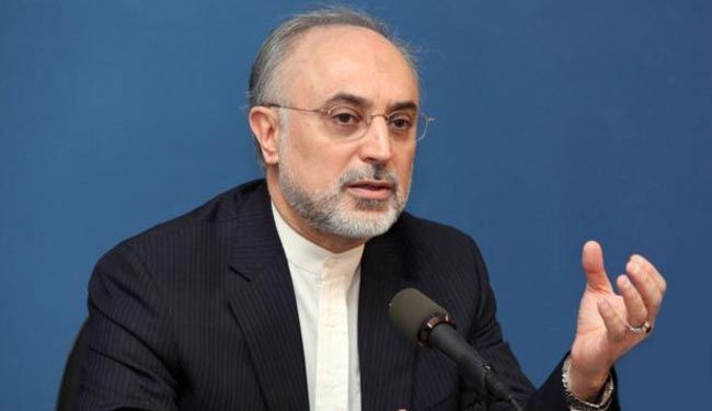صالحي: ايران والارجنتين تتابعان ملف 