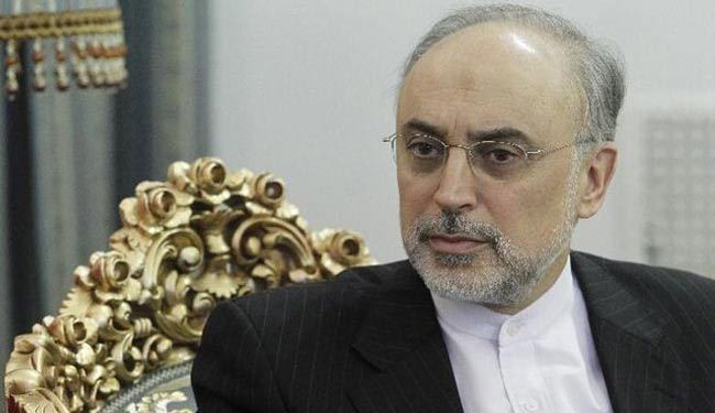 صالحي: الهجوم الاسرائيلي علی سوریا، لعب بالنار