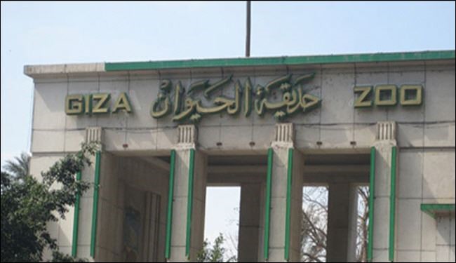 إغلاق حديقة حيوانات الجيزة بسبب ضجيج المتظاهرين